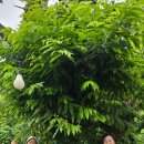 참살이 가족 캠핑장 이미지