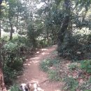 변종인 묘와 신도비 이미지