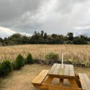 조수리애&이레 이미지