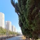 낙동대로 1739번길 이미지