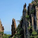 감자바위 이미지