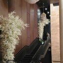 CN부페 웨딩홀 앞 반대편 횡단보도 | 인천 주안 CN천년부페웨딩홀 하객 후기 오펠리스홀
