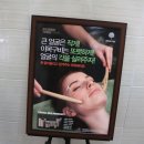 트리뉴얼 이미지