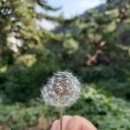 아미산자생식물원 이미지