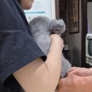 신영통동물병원 이미지