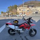 혼다 xr100 가격수정 재업 이미지
