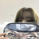 아리누이 이미지