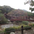 서울대학교 농업생명과학대학 이미지