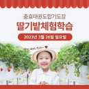 충효농장 이미지