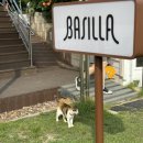 해바라기 애견 이미지