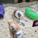 힐링관광지 주차장 | 대구 아쿠아리움 방문 후기 대구실내 데이트 관광지