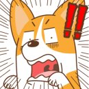 알포유수테라피
