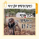 GS25 익산 웅포 | 익산 웅포캠핑장 애견동반 가능한 곰개나루에서 제티와 2박3일 일반 오토캠핑 후기