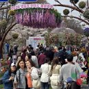 꽃길따라 이미지