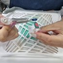 도도아카데미미용학원 | 대구 네일아트학원 실무 배우는 곳 동성로 도도아카데미 미용학원 상담