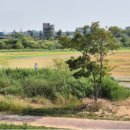 종합운동장(골프장) 이미지