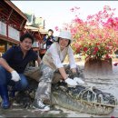 민지 농장 이미지