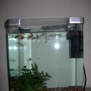 그늘막90 이미지