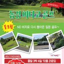 주식회사 여행사거리 네이버블로그