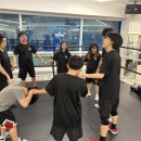 둔산복싱 이미지