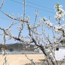 수담농장 이미지