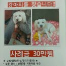 방화3동 이미지