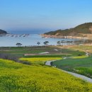 청산 Daum카페