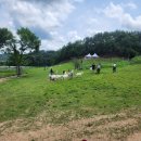 배울목장 이미지