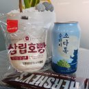 샾네일리