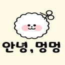 안녕, 멍멍아 이미지