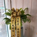 박소라내과의원 이미지