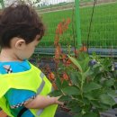 하모니농장 이미지