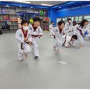 용인대 청명 태권도 이미지