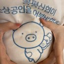 평촌부산민지네횟집 | 1박2일 평창여행, 메밀꽃사랑송어회, 팔석정송어횟집, 트리고카페, 대관령감자옹심이, 화이트호텔, 블루...