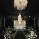 둔산중로-8 네이버블로그