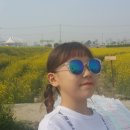 군산꽁보리 이미지
