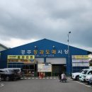 경주도매의류 네이버블로그