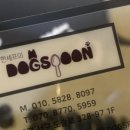 도그스푼 이미지