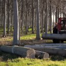 오동슈퍼 이미지