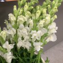 한림테크노빌딩 이미지