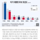 '차기 대권' 이재명 42.4%·한동훈 20.7%·오세훈 7.1% [데일리안 여론조사] 이미지