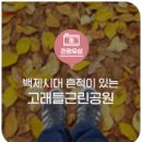 고래들공원 이미지