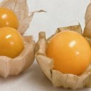 과일마트 - 부산진구 신천대로 182 | 과일마트
