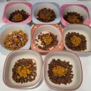 도그문(DOG MOON) 이미지