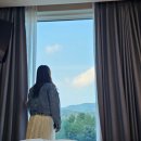 평창 더화이트 호텔 앤 리조트: 스탠다드 더블 1박 장단점 후기