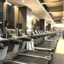 제임스짐 이미지