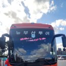 용호국민학교21회 나들이내장산과담양죽녹원[2025년11월2~3일] 이미지