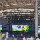 중앙공원(야외음악당) | 분당파크콘서트 공연 정보, 후기, 주차, 준비물