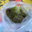 윤가네오향족발 이미지