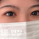 멜트브로우